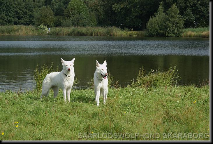 You have reached the last slide